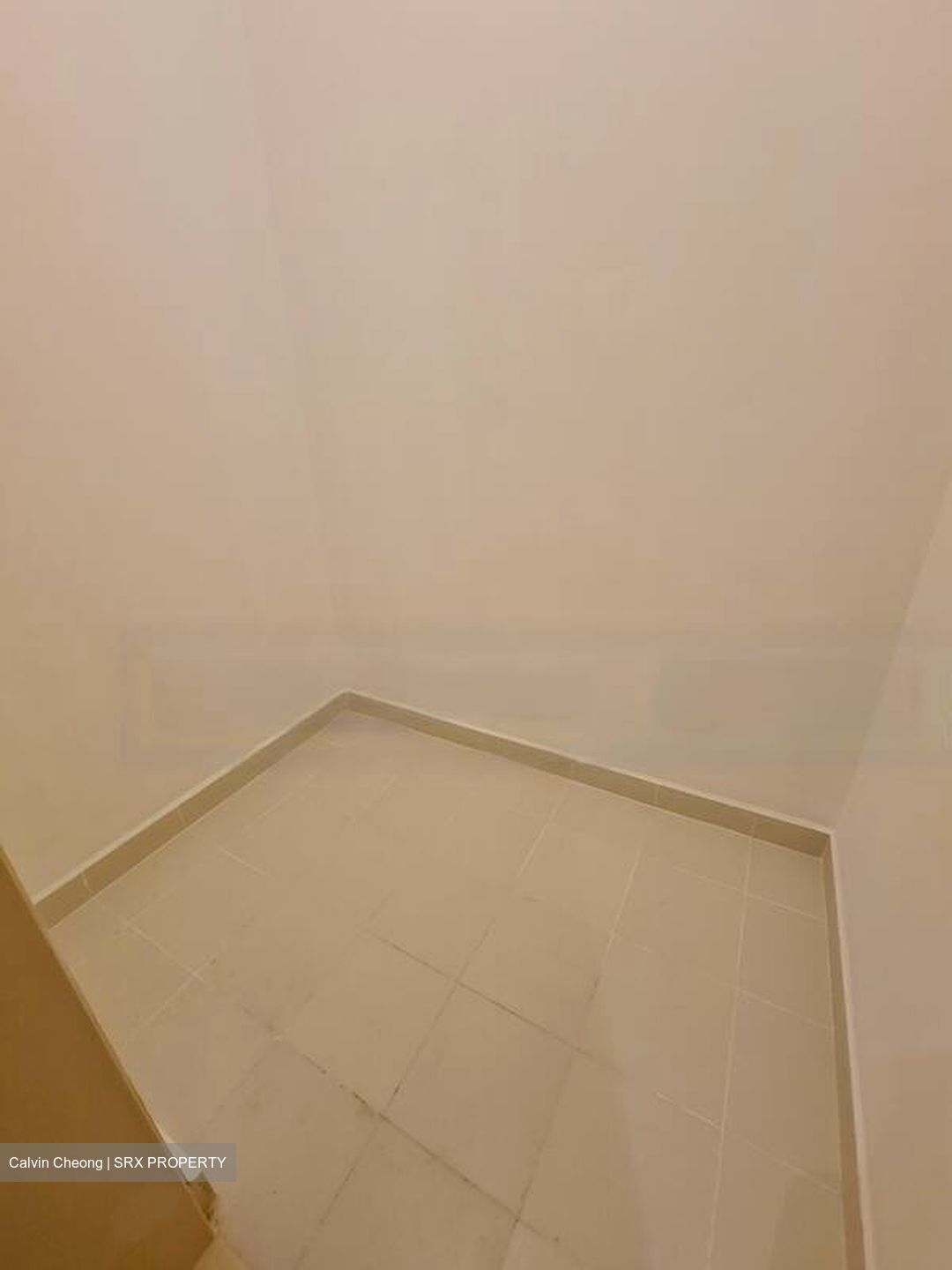 Hilltops (D9), Condominium #474999141
